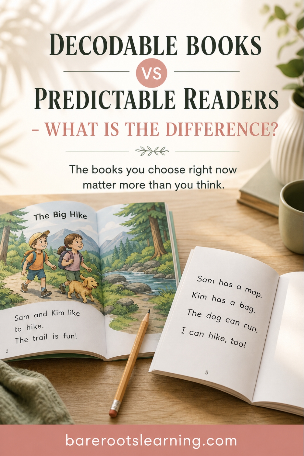 DecodableVSPredictable