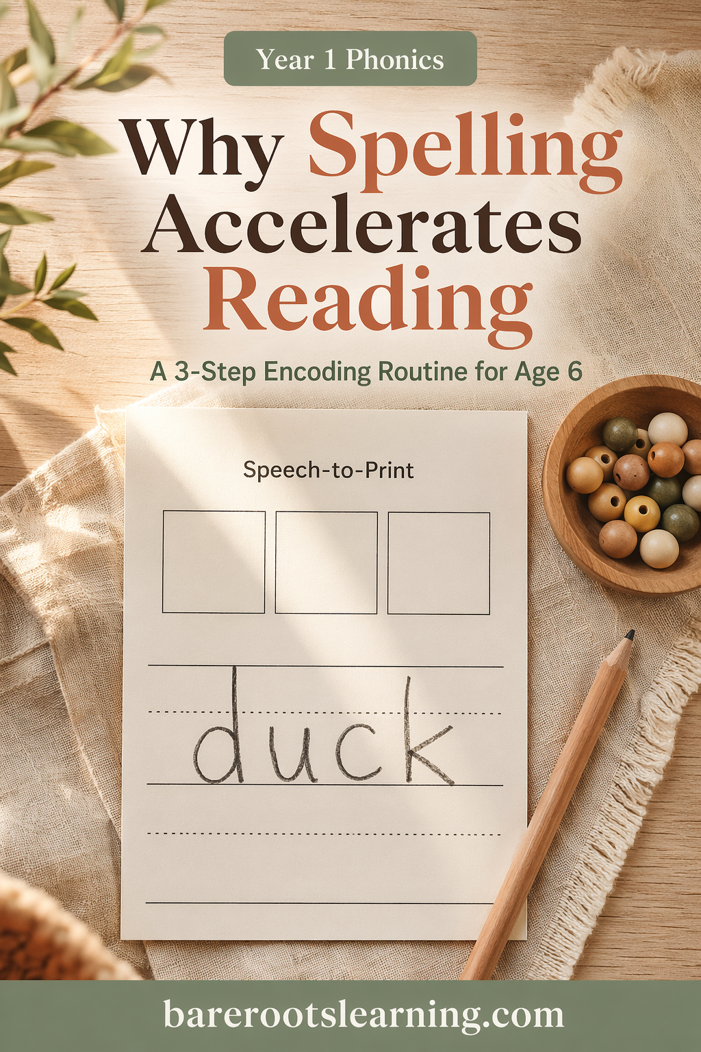 SpellingAccesleratesReading