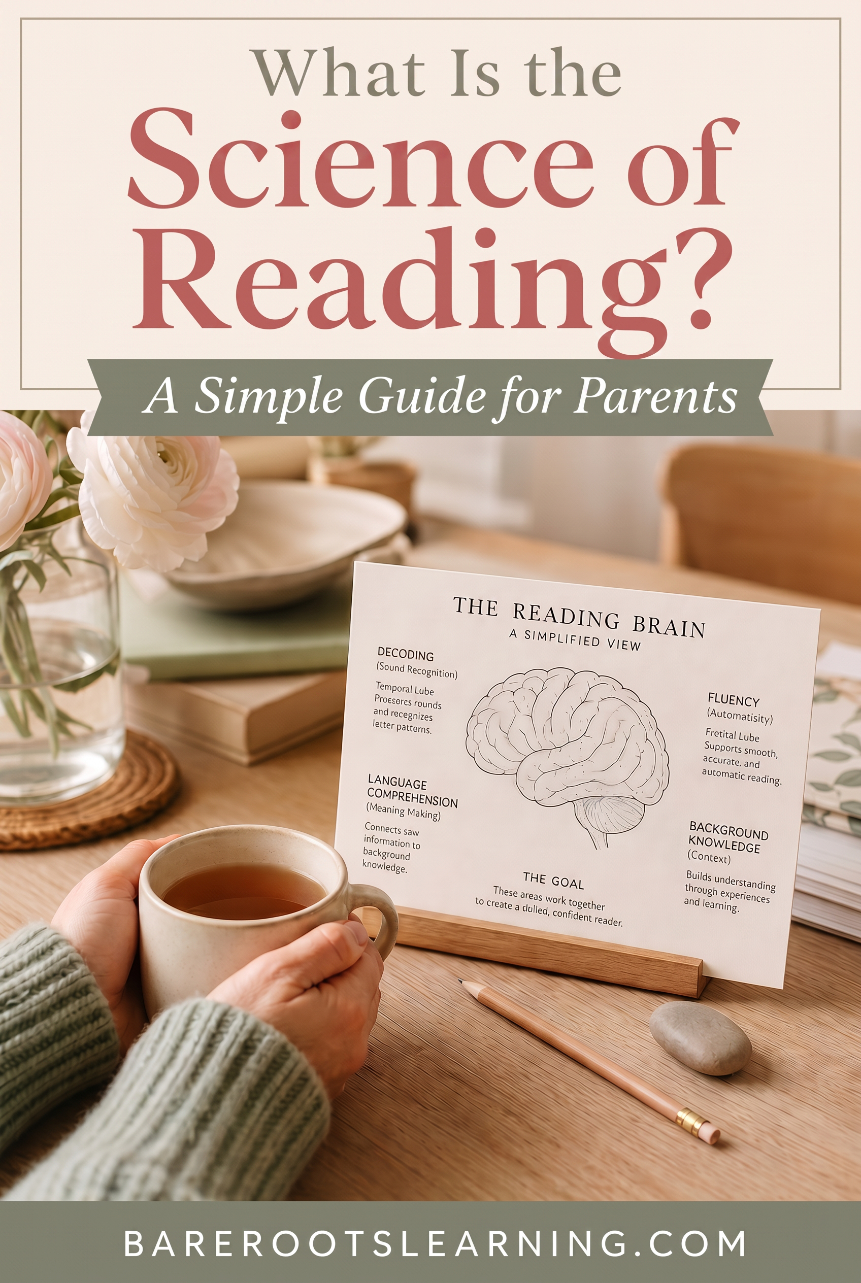 whatIsTheScienceOfReading